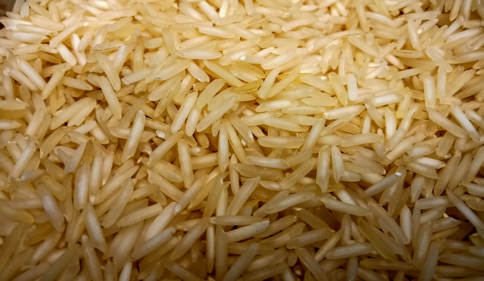 agrofa