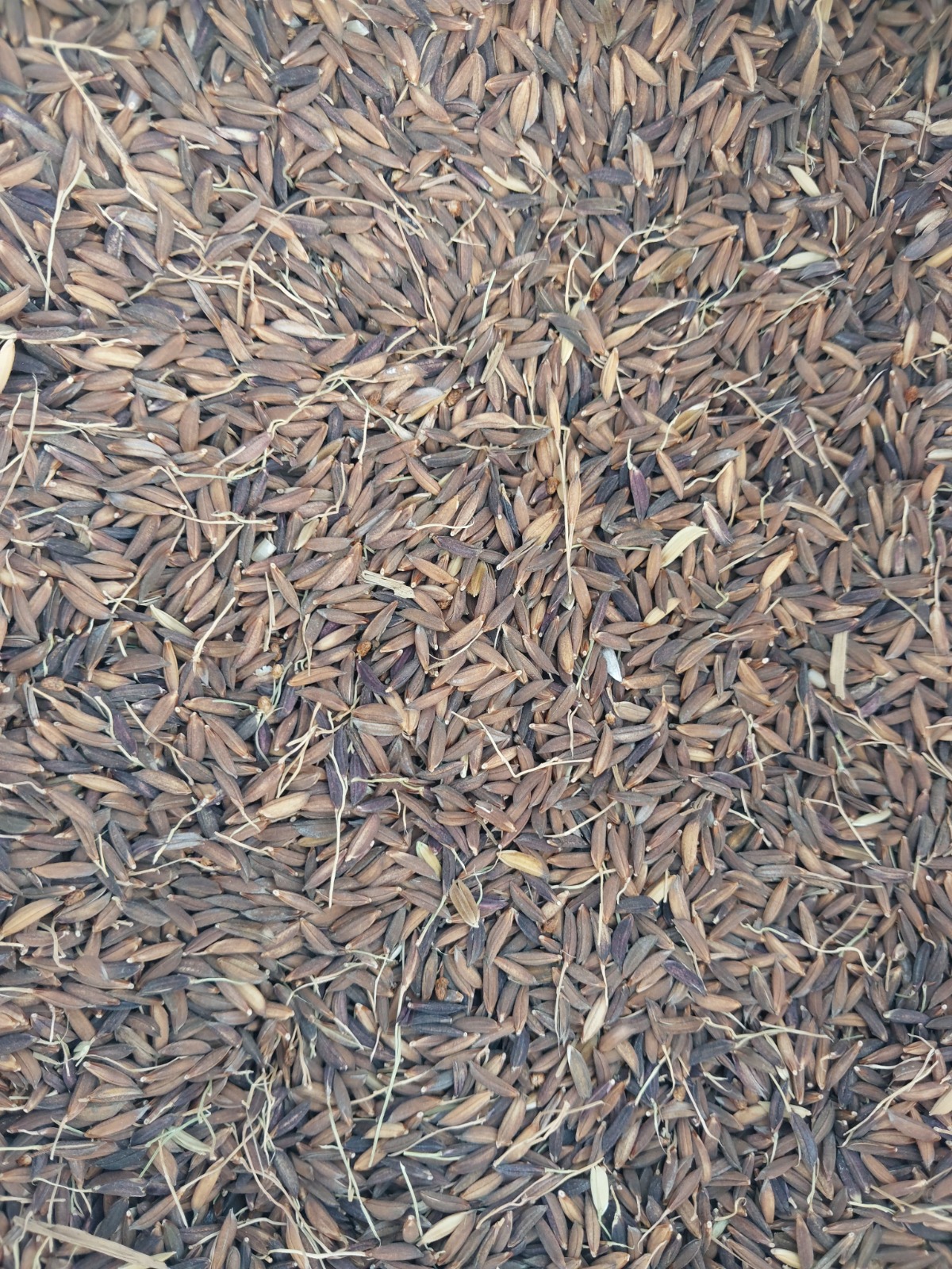 agrofa
